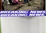 Tragedi di Lapangan Merdeka Binjai: Pedagang Mainan Meninggal Dunia Tertimpa Dahan Pohon Saat Cuaca Ekstrem