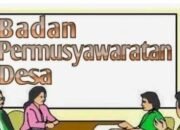 Kades Padaherang Klarifikasi Dan Menegaskan Penyaluran Bapanas Tidak Ada Pungutan Apalagi Penyelewengan